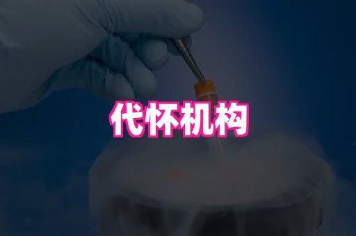 乐乐助孕网 3