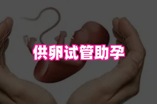 乐乐助孕网 4